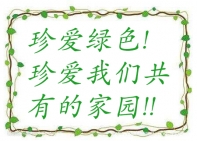 假日租车的环境观与社会责任观